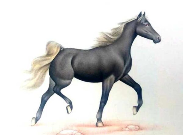 Indian Miniature Painting Art